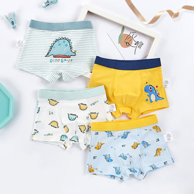 Boy Underwear Set (4 Pairs)