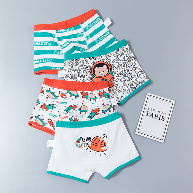 Boy Underwear Set (4 Pairs)